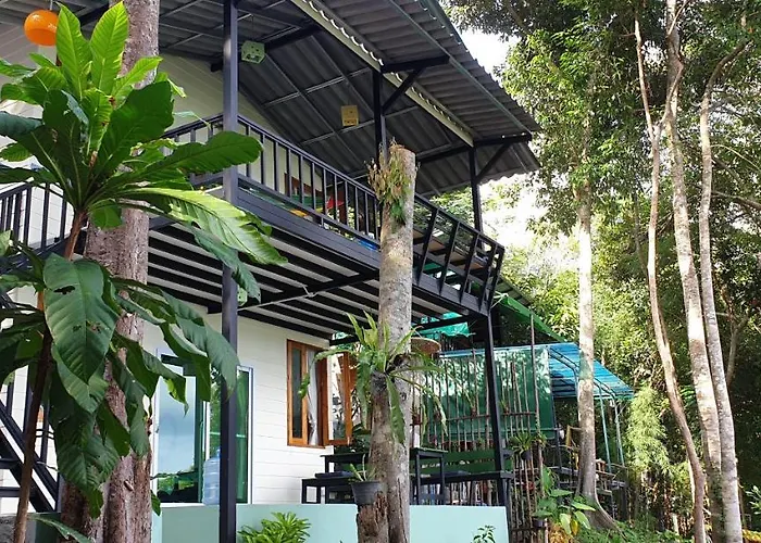 Jeroen\'S Jungle View